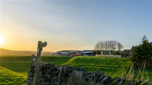 Farm view